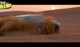 最新沙漠爆料视频播放大全,最新爆料视频全览