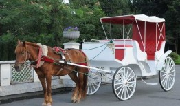 皇家马车爆料视频下载免费,免费下载爆料视频背后的故事