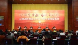 云南新闻最新爆料,揭秘神秘事件背后的真相