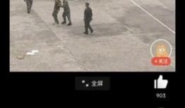 教官所有爆料视频大全集,揭秘军营生活与训练内幕