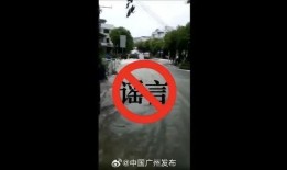 番禺爆料新闻,揭秘番禺最新热点事件