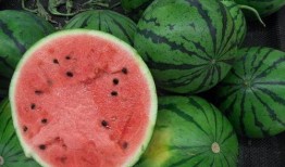 南北爆料社西瓜视频,揭秘娱乐圈幕后故事