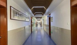 青岛二中自招爆料视频,揭秘招生内幕与真实情况