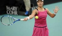 网球冠军李娜 爆料视频,网球冠军背后的心路历程与幕后故事