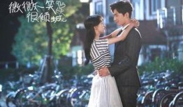 微微一笑很倾城电视剧免费在线观看,甜蜜爱情，青春回忆！