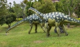 恐龙赛季主题爆料大全最新