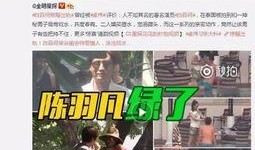 吕津之战视频爆料,揭秘历史战场上的惊心动魄瞬间