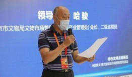 天下ip最新爆料,热点事件与行业趋势深度解析