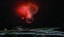 玄武湖烟花爆料视频最新,最新爆料视频揭秘璀璨瞬间