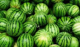 抖音03小网红吃瓜,揭秘娱乐圈幕后真相！”