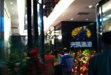 光明渔港爆料视频最新,揭秘海鲜市场惊人内幕