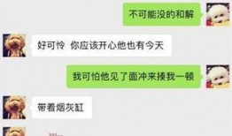 最新爆料白鹿2021,揭秘明星白鹿的璀璨星途与幕后故事