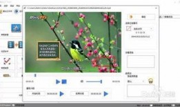 水印视频爆料怎么弄的啊,轻松掌握视频水印添加技巧