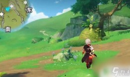 草神大招动画爆料视频,视觉盛宴解锁神秘力量