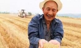 农民伯伯全集在线观看,耕读传家，智慧传承