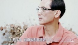 陈若仪父亲爆料视频,揭秘家庭背后真相