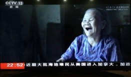 影片二十二在线观看,揭开历史记忆的伤痛