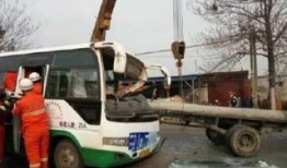 石家庄公交车最新爆料,最新线路调整与爆料揭秘