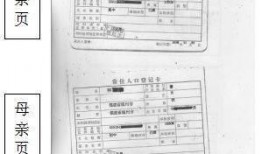 王牌黑料爆料视频大全下载,视频大全下载背后的真相与内幕