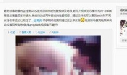 实料爆料明星是谁啊视频,揭秘视频中的神秘明星身份