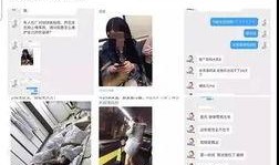 娱乐圈营销号爆料直播视频,独家爆料幕后真相！