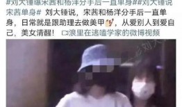 老杨爆料分手视频,分手视频背后的真相与情感纠葛