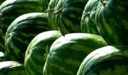 哈尔滨网红吃瓜事件,揭秘网络舆论的风暴与真相