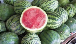 江西网红吃瓜视频播放,揭秘网络红人的幕后故事