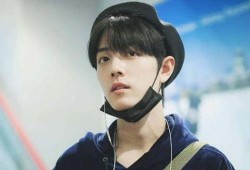 成毅村里人爆料视频大全,视频大全背后的真实故事