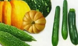 吃瓜微信免费吃瓜,微信带你畅享瓜界盛宴