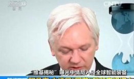 阿桑奇视频爆料