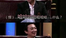 王思聪爆料娱乐圈黑幕,王思聪曝光惊人黑幕