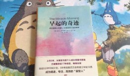 爆料北京博主视频大全