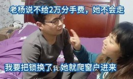 老杨爆料分手视频,分手视频背后的真相与情感纠葛
