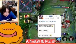 张大仙皮肤爆料视频,揭秘全新英雄造型与技能亮点