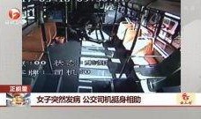 相助在线观看,一场跨越时代的女性友谊之旅