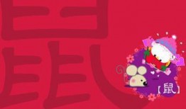 好属日视频在线观看,揭秘在线观看的精彩瞬间