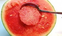 网红吃不吃瓜什么意思,揭秘娱乐圈幕后真相