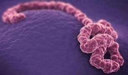 在线观看 伊波拉病毒,致命危机的全球追踪