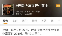 野生菌爆料视频大全,视频大全揭秘菌类世界奇观