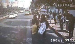 网友爆料猪场事件视频在线观看,网友热议养殖场惊人内幕