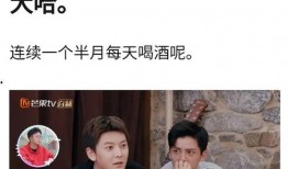 陈翔助理爆料视频大全最新,揭秘明星幕后真相