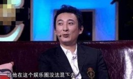 王思聪娱乐爆料视频大全,揭秘娱乐圈幕后故事