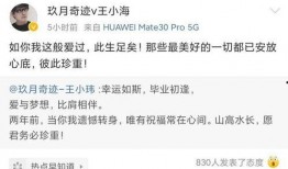 卓伟爆料王小海视频全集,王小海视频全集事件全解析