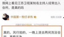 卓伟最新爆料黄磊,卓伟最新爆料揭秘真相