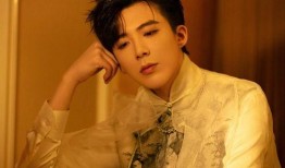 刘宇宁后续爆料视频在线观看,事件真相与幕后黑幕