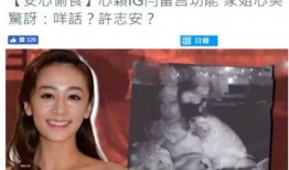 晋江二姐爆料视频,揭秘娱乐圈幕后真相