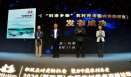 舞场爆料新闻报道怎么写,揭秘幕后故事，带你走进舞坛风云