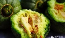 恩施网红吃瓜事件,揭秘网络舆论的风暴与真相