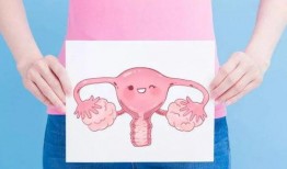 你的子宫在线观看,在线探索女性生殖奇迹之旅